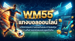 WM55-แทงบอลออนไลน์